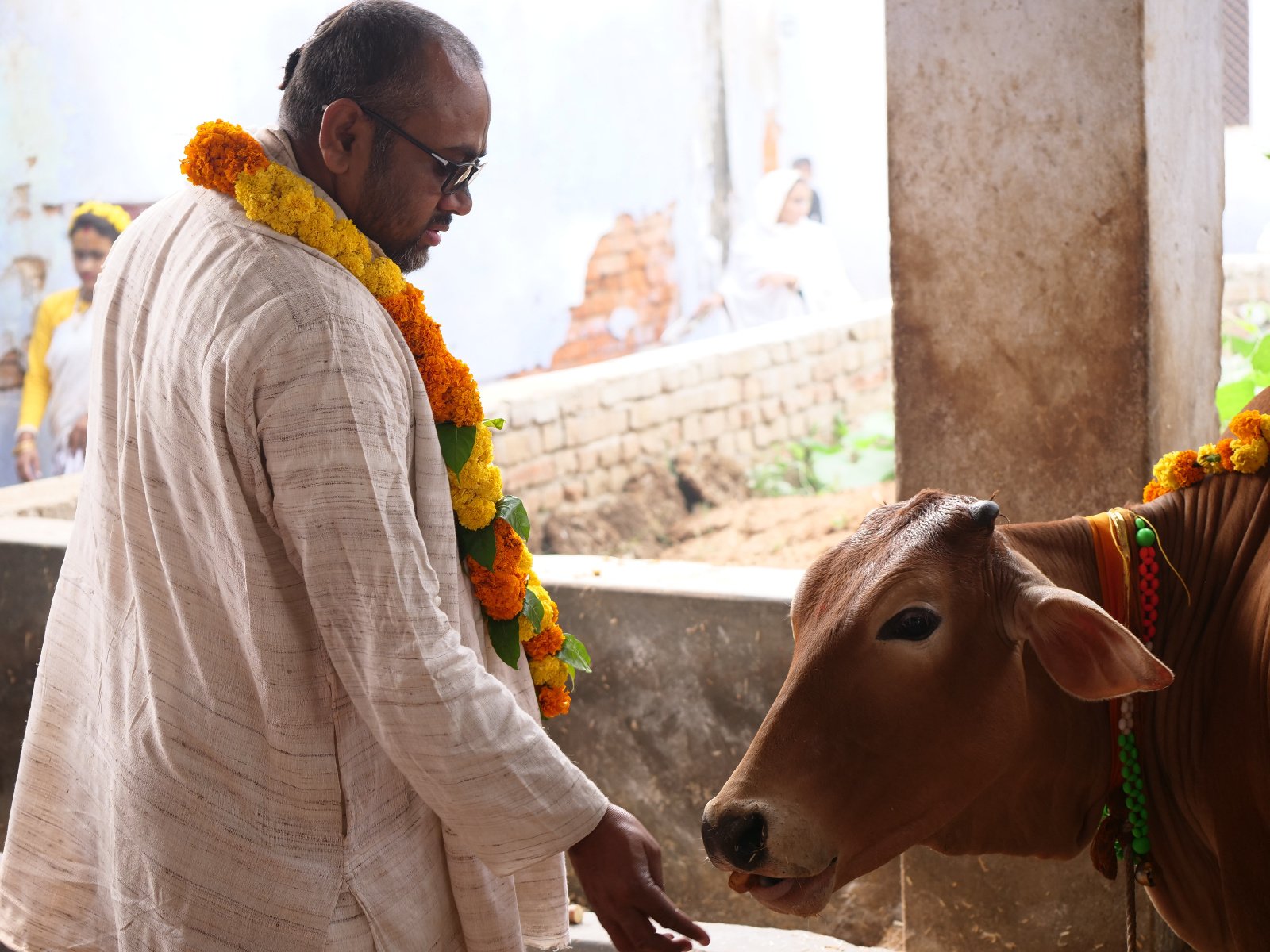  105 Gopashtami Radha kunda Govardhan 19.11.04